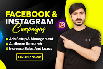 setup your facebook and instagram ad campaigns to get sales and leads