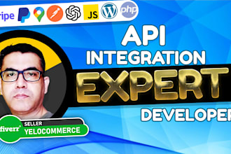 be expert API integration and development