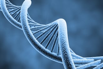 perform advanced bioinformatics services for sequencing platforms