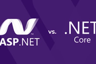 develop expert fullstack aspnet and aspnet mvc web applications