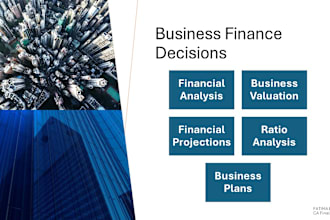 do financial analysis, business valuation and financial projections
