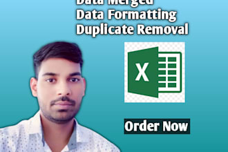 do urgent data cleaning work or excel data cleaning work