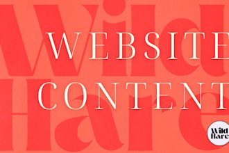 write your creative website and messaging