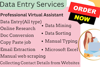 be your virtual assistant for web search, data entry collection, manual typing