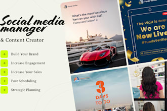 be your social media marketing manager and content creator