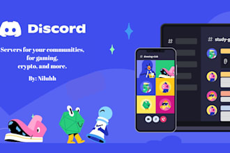 setup a discord server for you