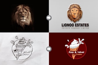 design a custom logo from your idea, sketch or image
