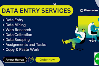 do data entry, web research, excel, admin support, email handling