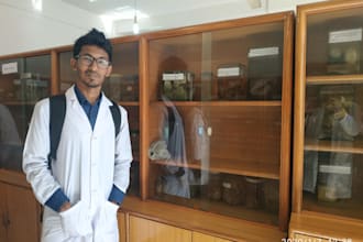 write nursing essay as a medical professional