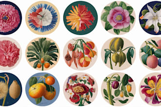 draw botanical illustrations of flowers, plants and fruits