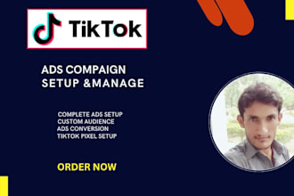 setup tiktok ads campaign, tiktok ads, tiktok video ads