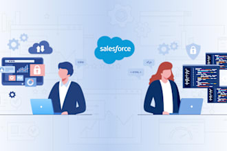 provide expert salesforce development, automation and administration