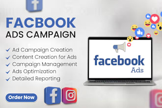 run facebook instagram ad campaigns for leads, ecommerce sales and engagement