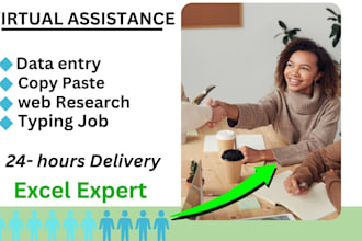 professional in virtual assistance and excel data entry