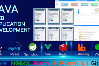 develop web application,iot application for you by using java,springboot,vue