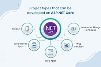 provide expert dot net core API integration