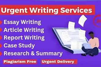 write urgent essay writing, summary report