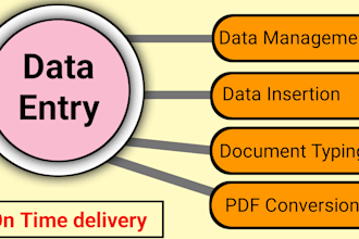 do data entry, excel data entry, copy paste, convert pdf, web research, typing