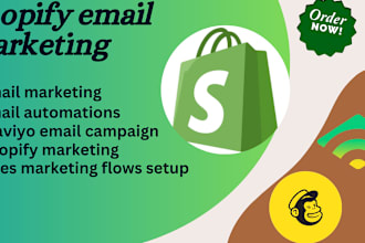 email marketing, klaviyo and mailchimp expert, email campaign and automations
