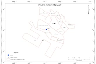 create a digital map and compile a report