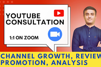 do video call consultation on how to grow your youtube channel