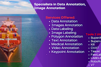do your image annotation, data annotation, video annotation preciously