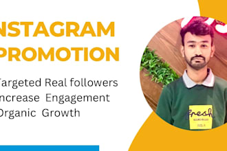 do increase super fast  instagram promotion and marketing