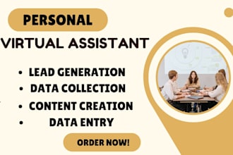 be your shopify store va and virtual executive assistance for your store