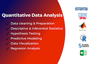 do quantitative data analysis using excel, python, spss, r