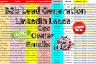 do b2b leads,data entry,web scraping,data mining,data collection