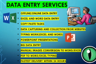 do data entry web research excel and word data entry