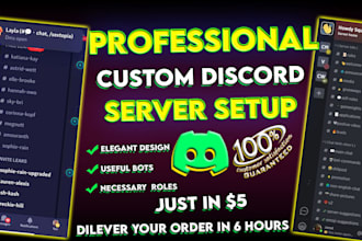 do professional custom discord server setup for you within 6 hours