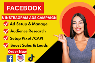 do your setup facebook ads campaign, instragram advertising