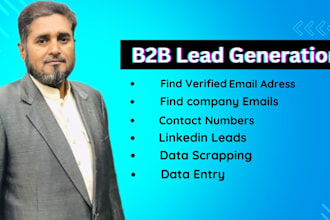 do b2b leads,  map scrapping, email finding, linkedin leads and data extraction