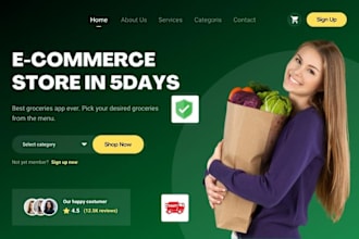 create a professional e commerce website in 5 days