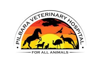 do a modern minimalist pet care logo with creative concept