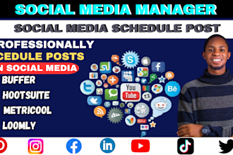 use metricool buffer loomly hootsuite to manage and schedule social media post