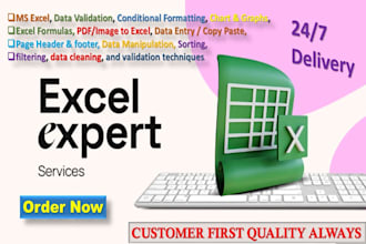 do microsoft excel formatting, and google spreadsheet expert