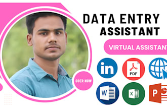 do reliable data entry and web research expert