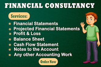 prepare financial statements, profit and loss, balance sheet, cash flow