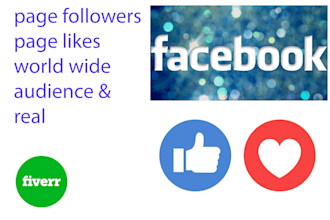 do super fast  and organic facebook promotion