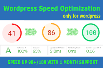 do wordpress speed optimization, slow website speed, pagespeed,google page speed