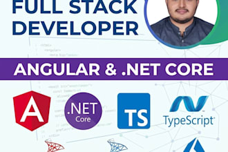 develop websites and web applications using angular