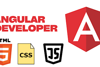 develop websites and web applications using angular
