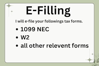 prepare and efile your US tax return, companies w2 ,1099 nec, boi report