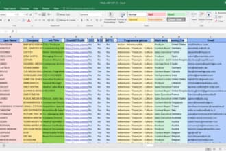 do data entry, manual data entry, copy paste and web search