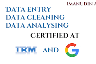 do  data entry, clean data, mine data and visualize your data