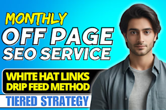 build high authority manual white hat SEO dofollow backlinks off page service