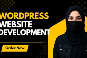 craft affordable, responsive and modern wordpress websites