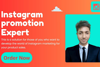 instagram promotion or marketing expert for fast organic